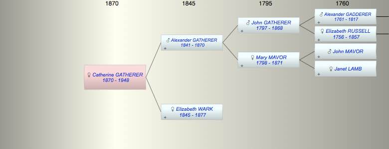 Catherine Wark GATHERER