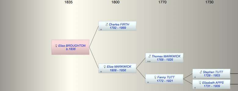 Eliza Ann (FIRTH) BROUGHTON