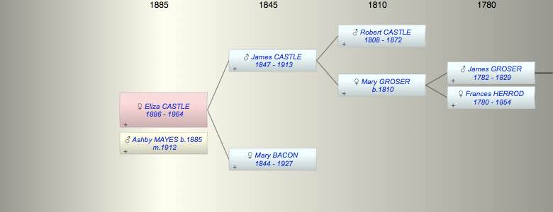Eliza Emily CASTLE