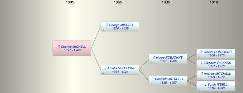 Charles Francis MICHELL