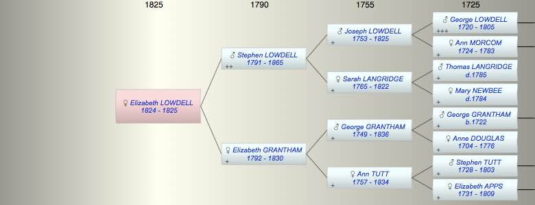 Elizabeth Finch LOWDELL