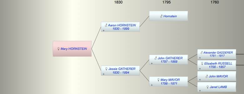 Mary C HORNSTEIN