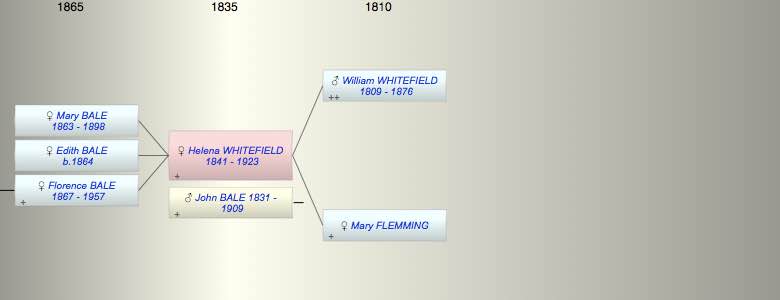 Helena Webb WHITEFIELD