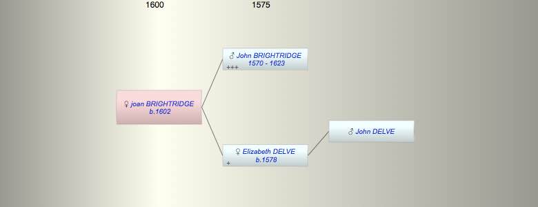 joan BRIGHTRIDGE