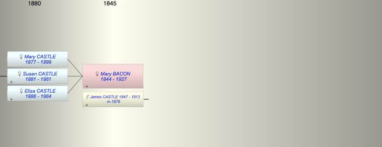 Mary Ann E BACON