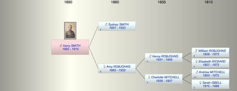 Harry Mercer SMITH