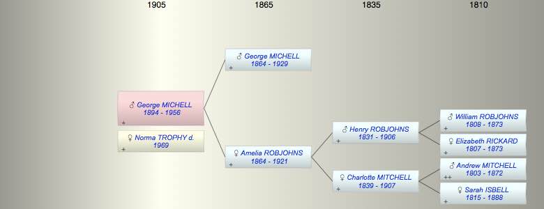 George Wilfred MICHELL
