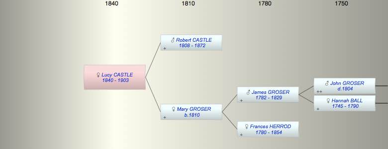 Lucy CASTLE