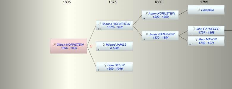 Gilbert T Charles HORNSTEIN