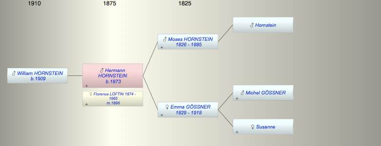 Hermann HORNSTEIN