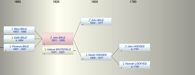 John Hodges BALE