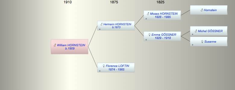 William Thomas HORNSTEIN