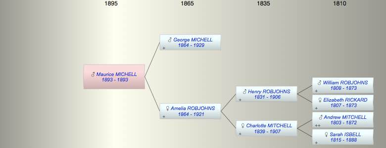 Maurice Spargu MICHELL