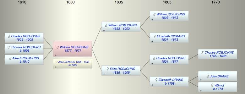 William Arthur ROBJOHNS