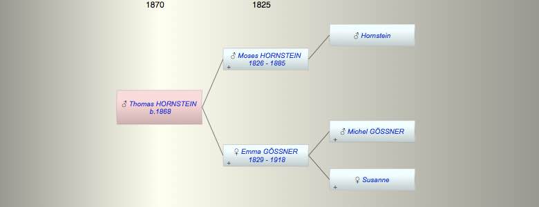 Thomas HORNSTEIN