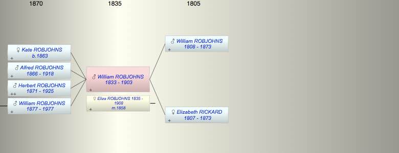 William Alfred ROBJOHNS